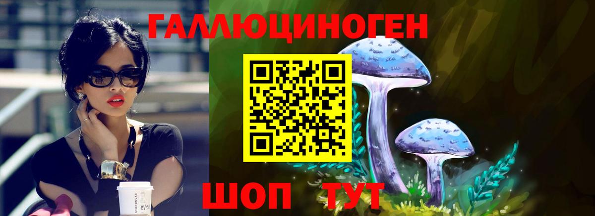 Галлюциногенные грибы MAGIC MUSHROOMS  Вход с VPN  Светлоград  Псилоцибиновые грибы мухоморы 